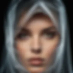 Disguised face behind a veil of mystery