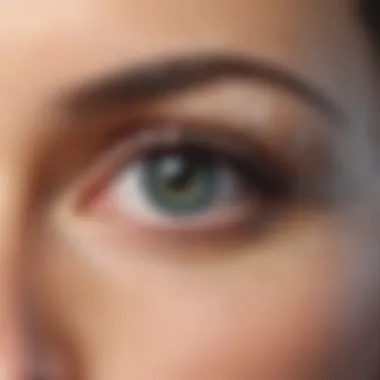 Cutting-Edge Biometric Recognition CAPTCHA Concept Biometric Recognition CAPTCHA
