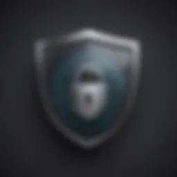 Illustration of a shield with digital lock