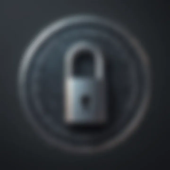 Code Encryption Lock for Website Security