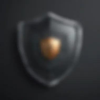 Security Shield