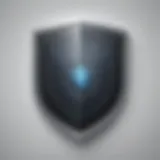 Cyber Shield Icon