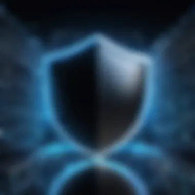 Conceptual representation of cyber shield for protection