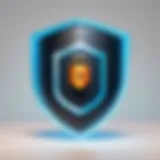 Cybersecurity Shield