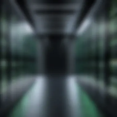 Shielding Digital Assets Data Center Security Mechanisms