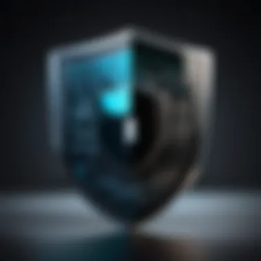 Securing Sensitive Information Data Encryption Shield