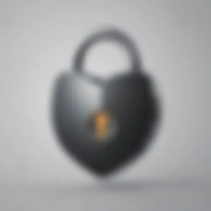 Data Protection Padlock