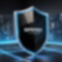 Shield representing data protection