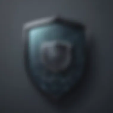 Cybersecurity Shield Protection Cybersecurity Shield Protection Concept