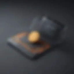 Abstract representation of digital wallet security