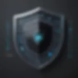 Shield icon representing network security