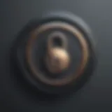 Digital Lock Icon