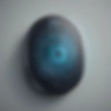 Biometric Authentication Biometric Authentication Illustration