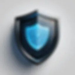 Security Shield Icon