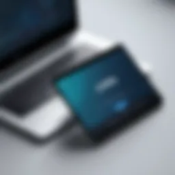 Comparison of free and paid VPN services