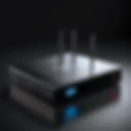 A sleek VPN client router setup showcasing advanced security features