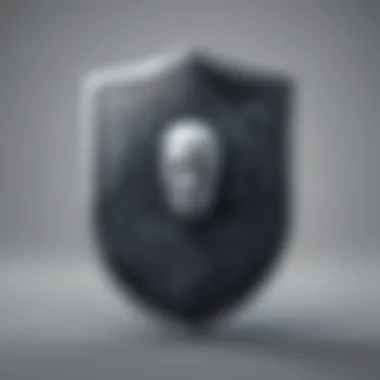 Data Encryption Shield