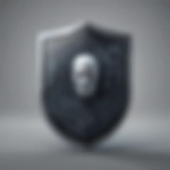 Data Encryption Shield