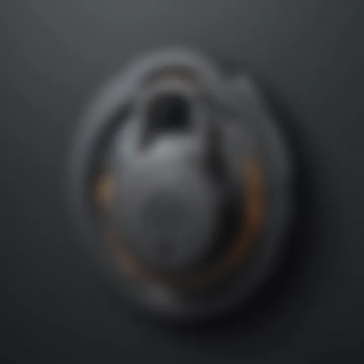 Virtual Lock - Cybersecurity Illustration