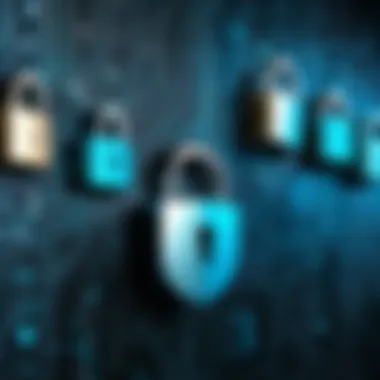 Network Security with Locks An abstract representation of a network with security locks