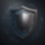 Cybersecurity Shield Shield symbolizing cybersecurity expertise