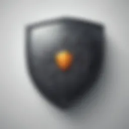 Illustration of digital security shield