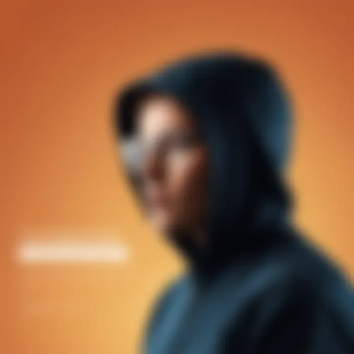 Conceptual representation of identity theft