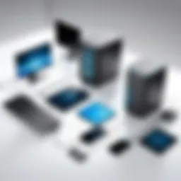 Schematic representation of thin client architecture