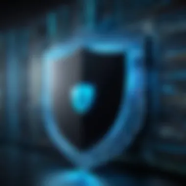 Data Encryption Shield