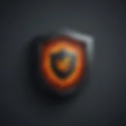 Shield Icon Representing Cybersecurity