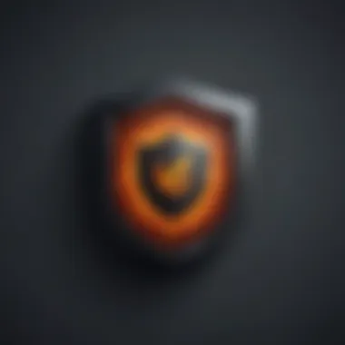 Shield Icon Representing Cybersecurity