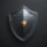 Fortified Cybersecurity Shield Shield symbolizing cybersecurity protection