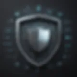 Shield symbolizing cybersecurity protection