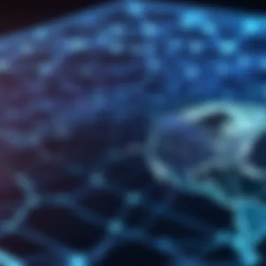 Mapping the Network Connectivity via DNS Server IP Network Connection Map
