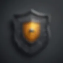 Security Shield Symbolizing Data Protection