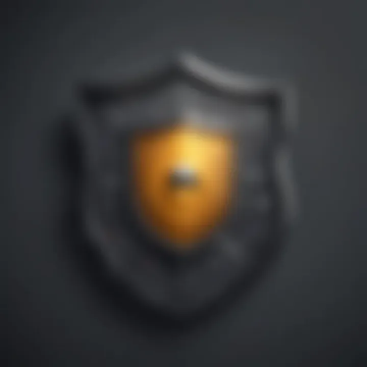 Security Shield Symbolizing Data Protection