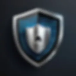 Cyber Security Shield Icon
