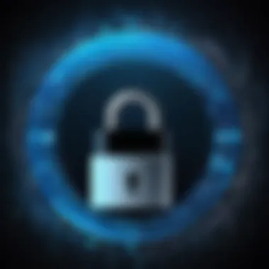 Data Protection Lock Concept