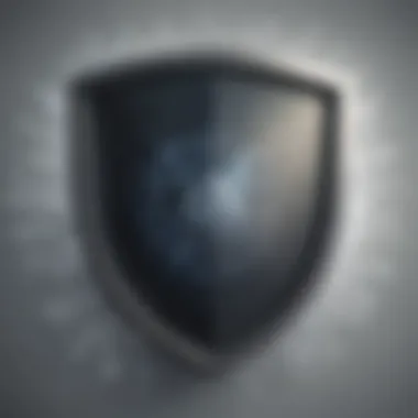 Safeguarding digital assets Illustration of a shield protecting digital assets from cybercrime