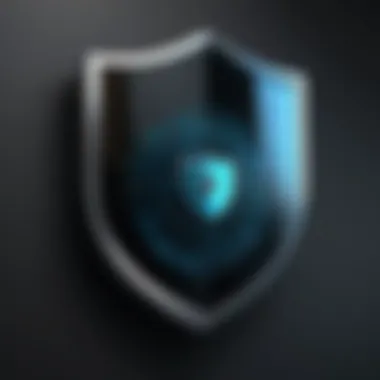 A shield representing online security