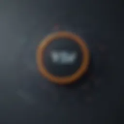 Abstract Conceptual Illustration of RSA Security Access