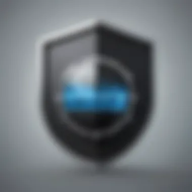 Security shield icon