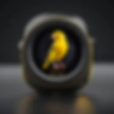 Canary Camera's features displayed in a digital interface
