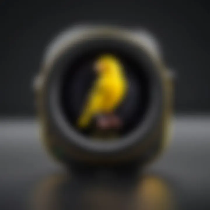 Canary Camera's features displayed in a digital interface