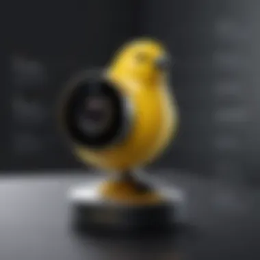 Balancing Privacy and Security with the Canary Camera Infographic illustrating privacy considerations with surveillance technology