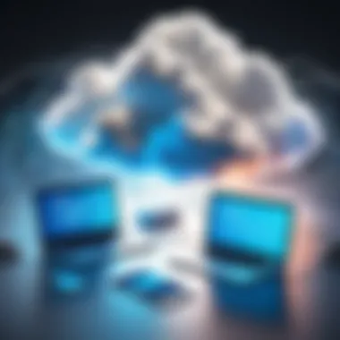 Envisioning Cloud Identity Management Conceptual representation of cloud identity management