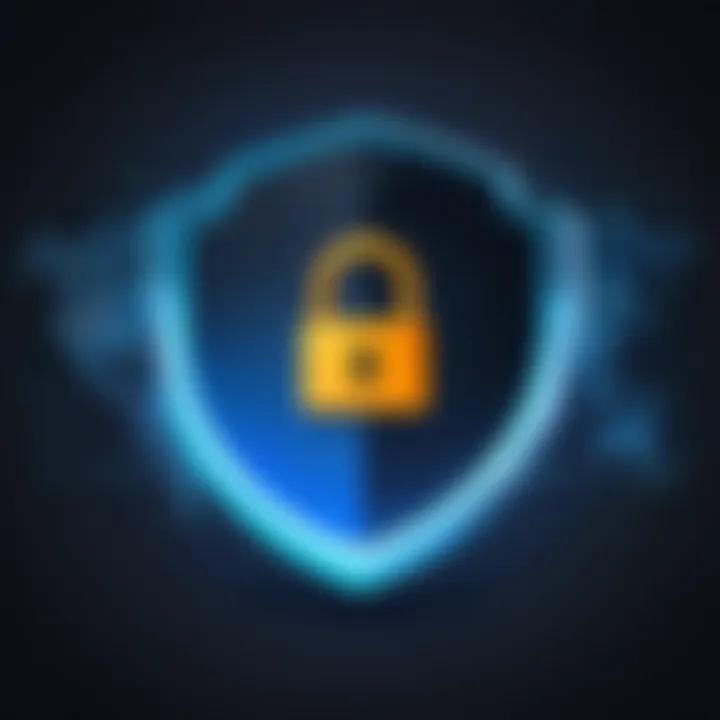 Privacy Lock Icon