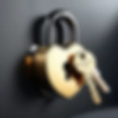 Lock and key illustrating security measures