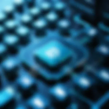 Types of DDoS Protection Devices Overview of different types of DDoS protection devices.