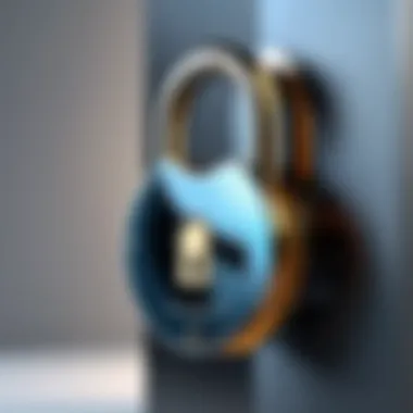Effective Prevention Strategies for Identity Theft A secure lock representing prevention methods against identity theft